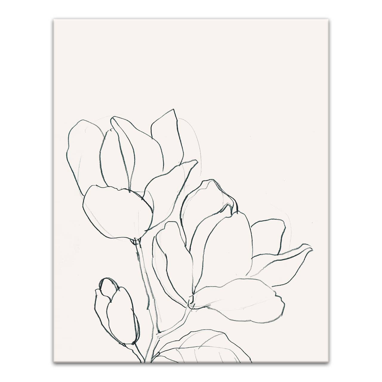 Magnolia Line Drawing 16" x 20" Canvas Wall Art